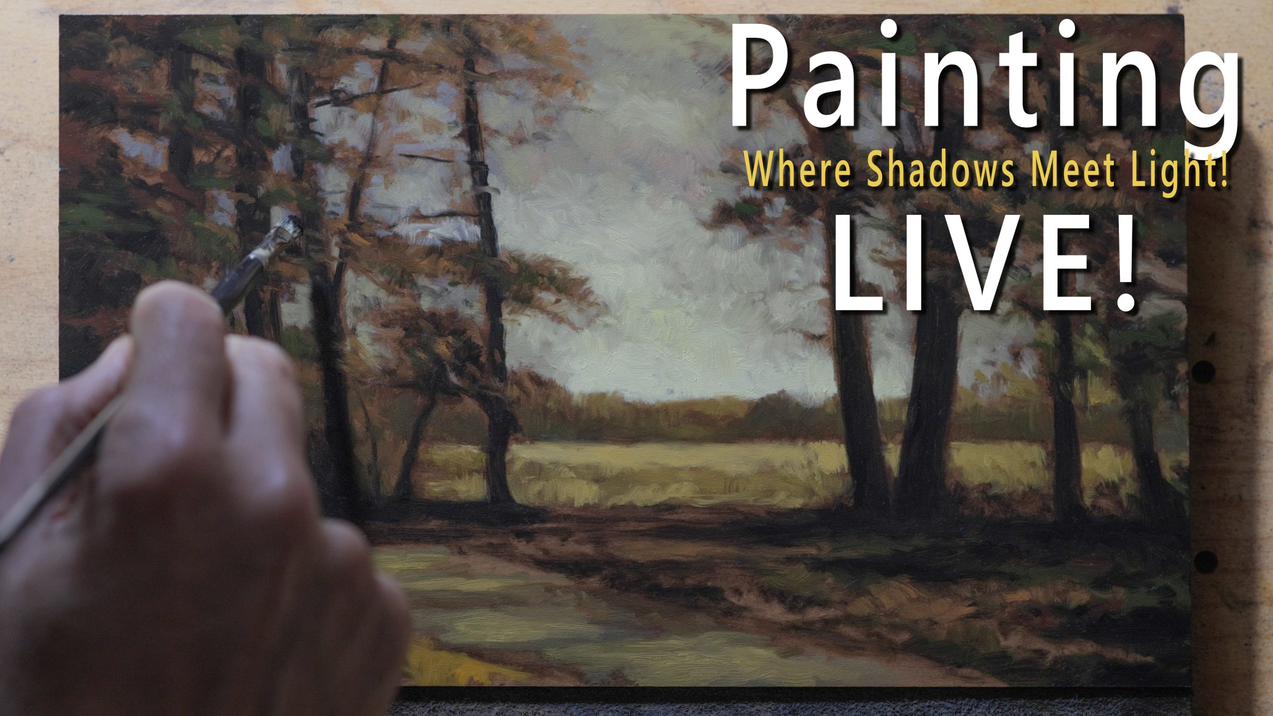 Where Shadows Meet Light 7×12 – 15 Min Painting Session